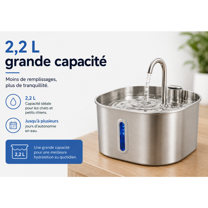 Fontaine à Eau pour Chat avec Filtre et Pompe Silencieuse