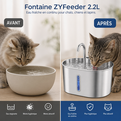 Fontaine à Eau pour Chat avec Filtre et Pompe Silencieuse