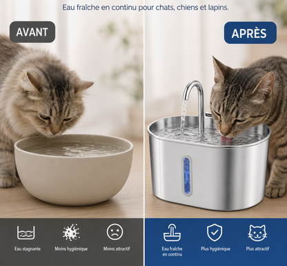 Fontaine à Eau pour Chat avec Filtre et Pompe Silencieuse