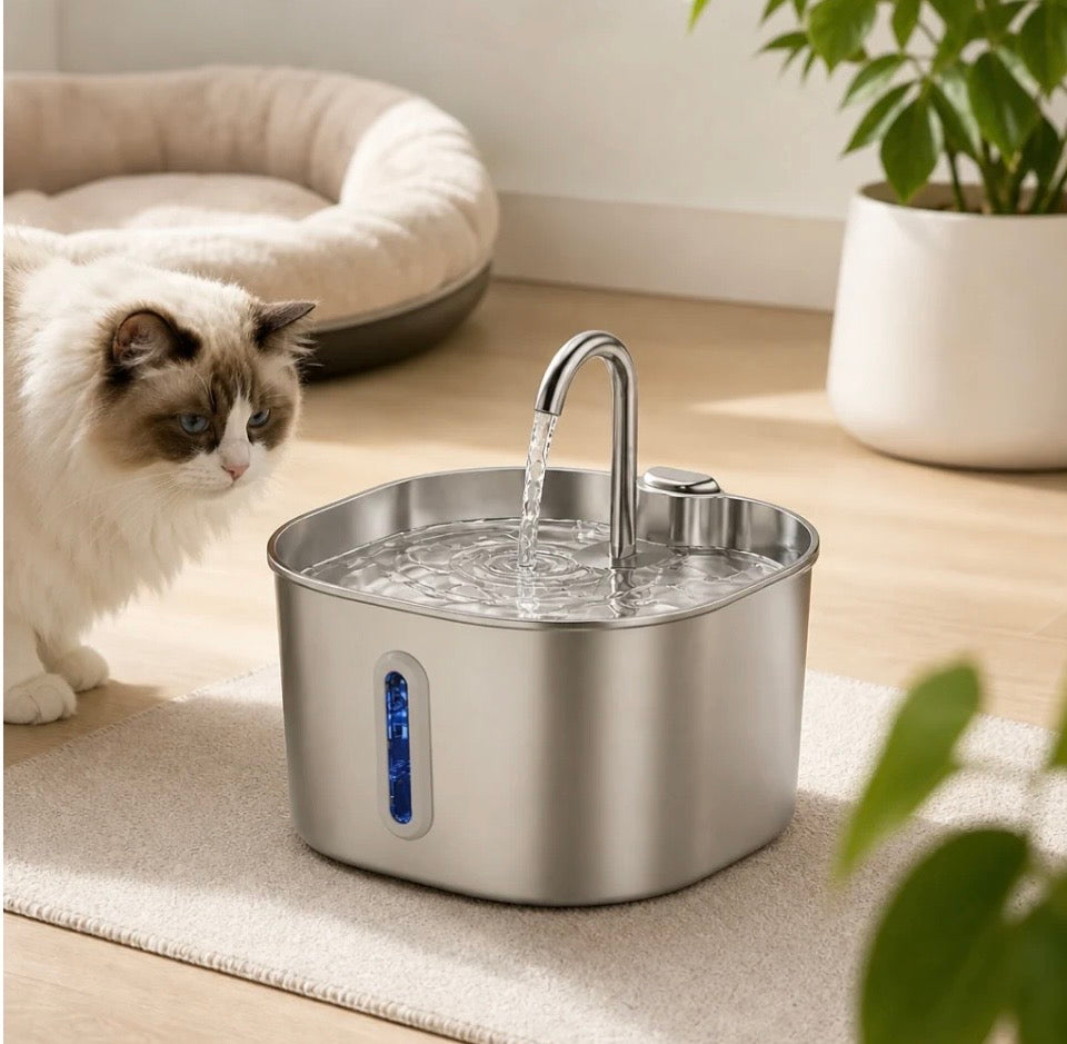 Chat près d’une fontaine à eau SYNKIO